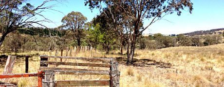 Farm Gate